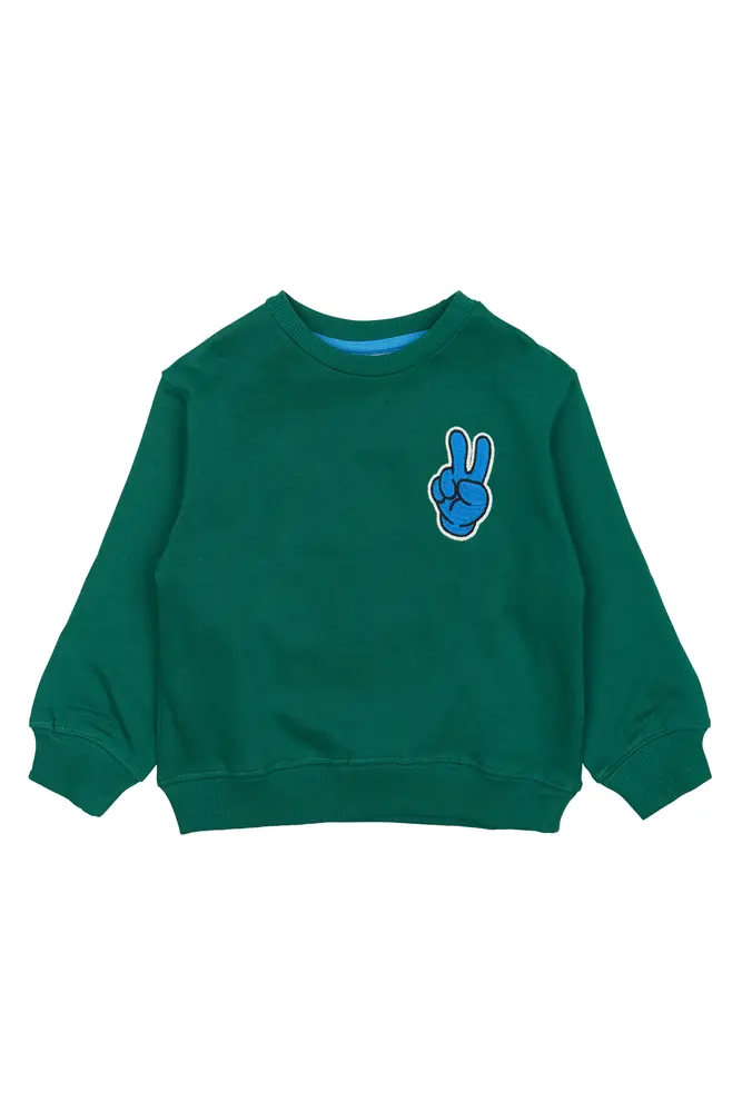 Phineas Sweatshirt - ALPINGREEN - 110 billede