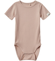 Dictesb body - 4068