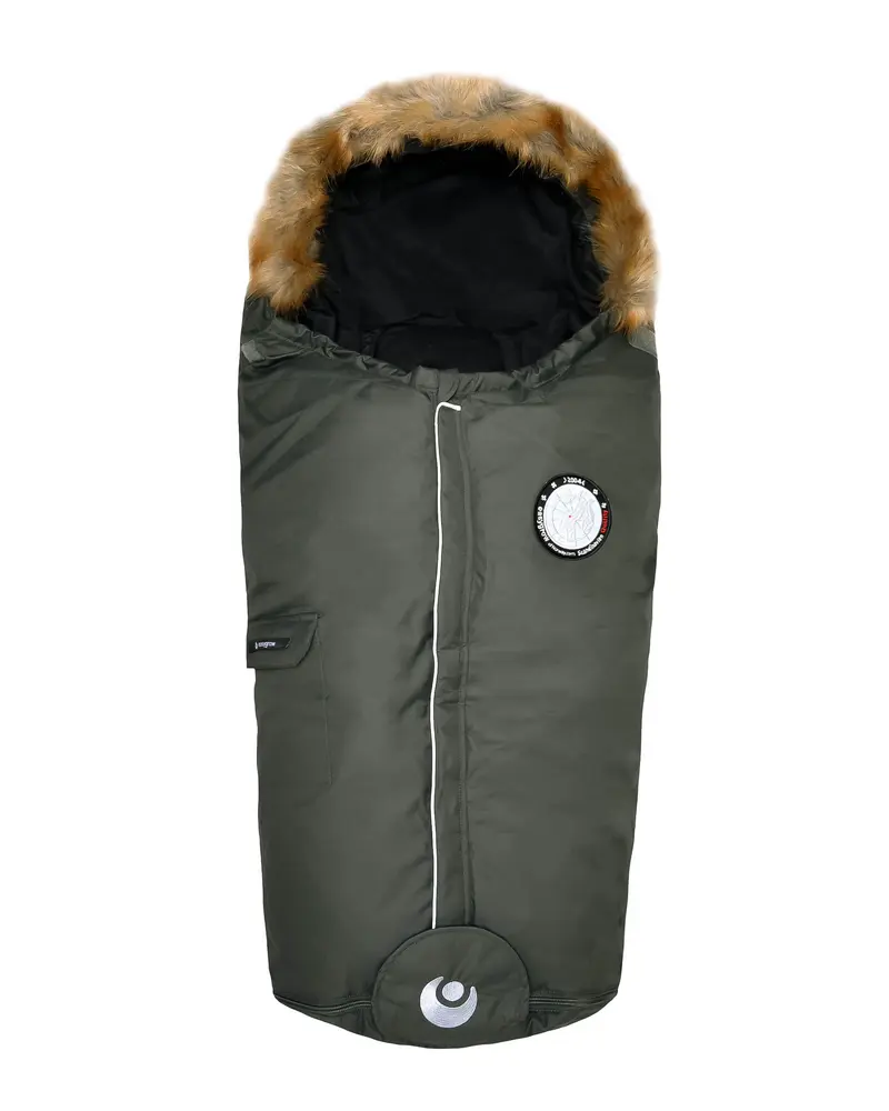 nature green forest billede