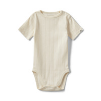 Dictesb body - 0109