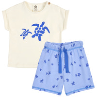 Turtle Sæt - Azure blue/ Shell blue
