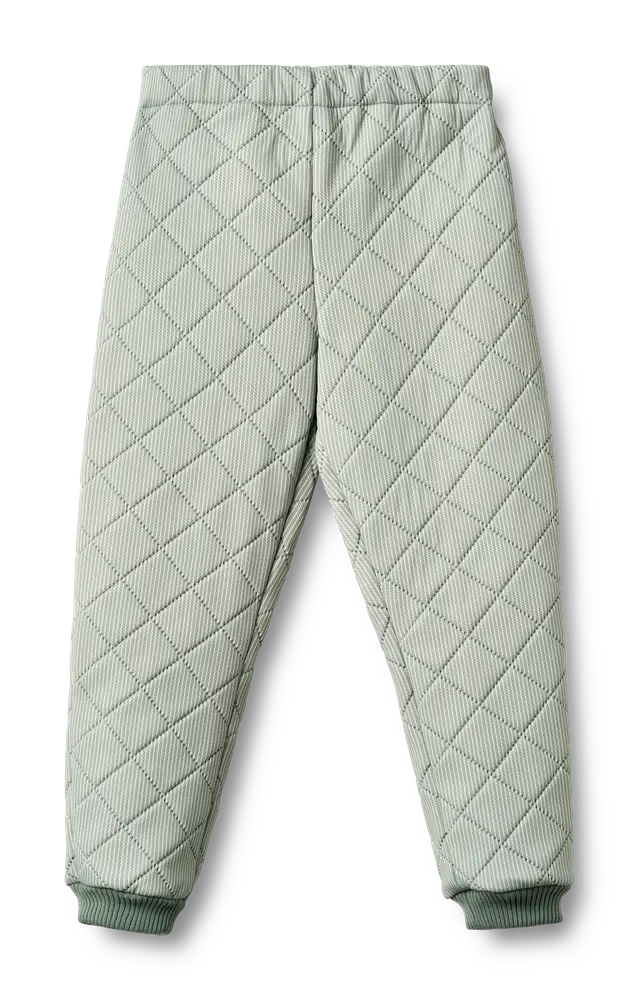 Alex Termobukser - Green stripe - 98 billede