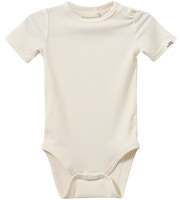 Dictesb body - 0109