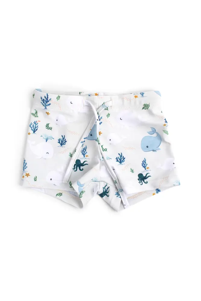Filibabba Orla Badeshorts - Multicolour - 1-2 ÅR billede