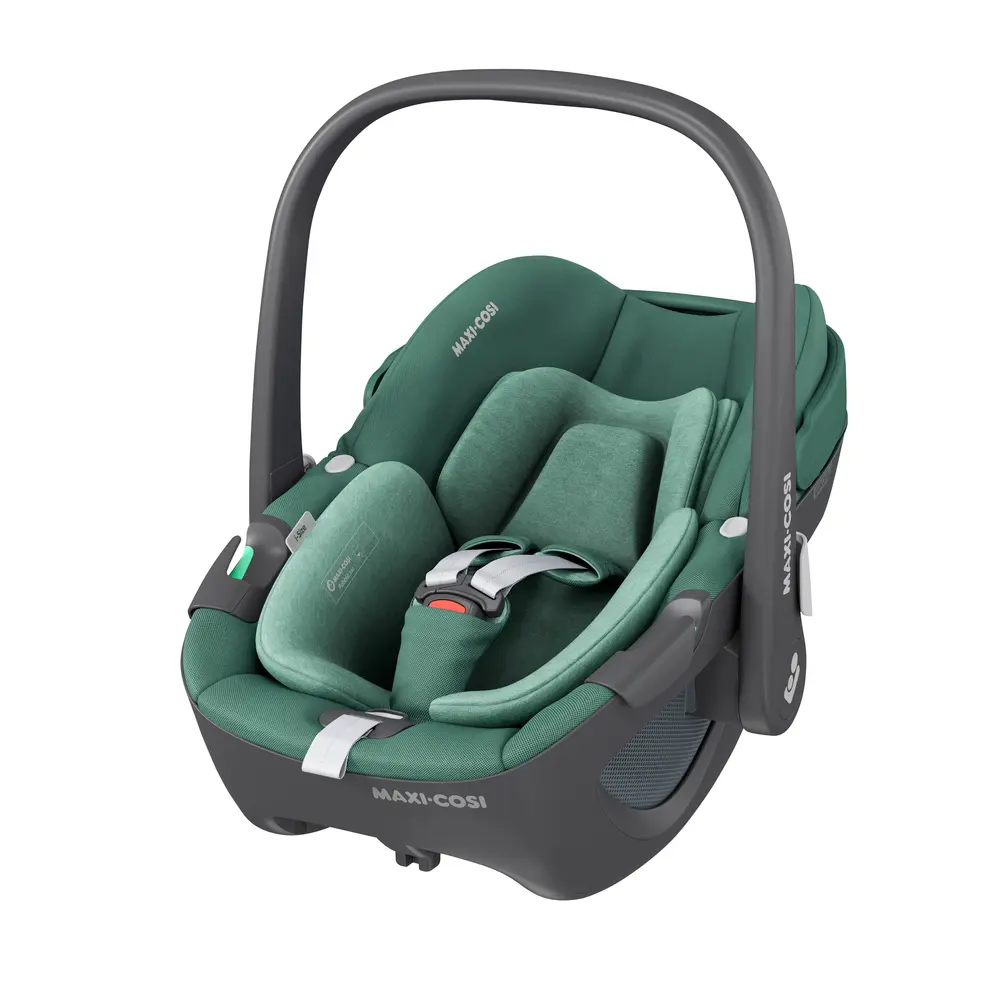 Pebble 360 - essential green billede