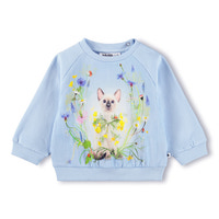 Disc Sweater - Meadow Kitten