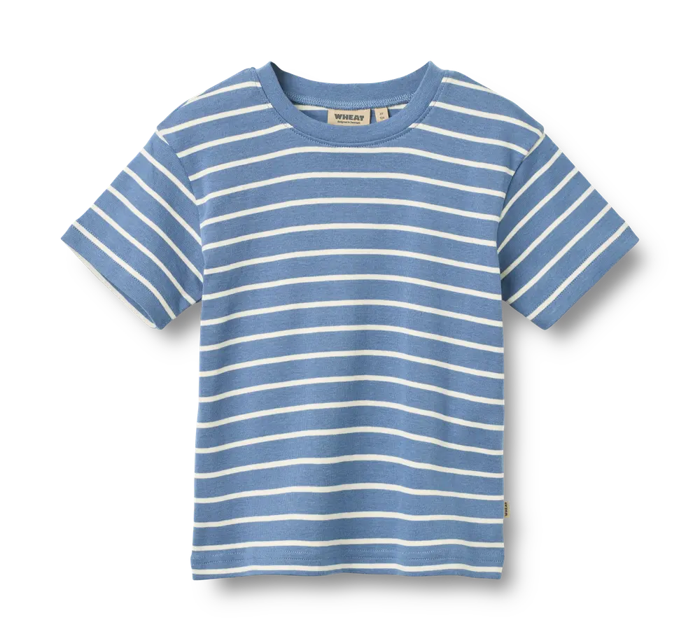 Fabian T-shirt - Blue Stripe - 104 billede