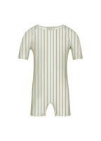 Badeheldragt - Striped - Fern